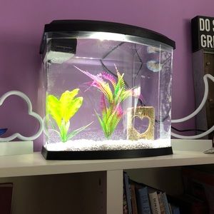 Top Fin 5 Gallon Tank